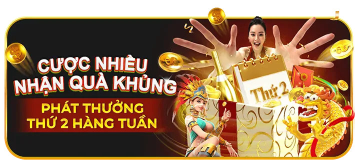Giới thiệu nền tảng chính thức go9